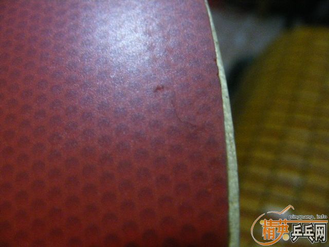 ��ֱ981+�������speed