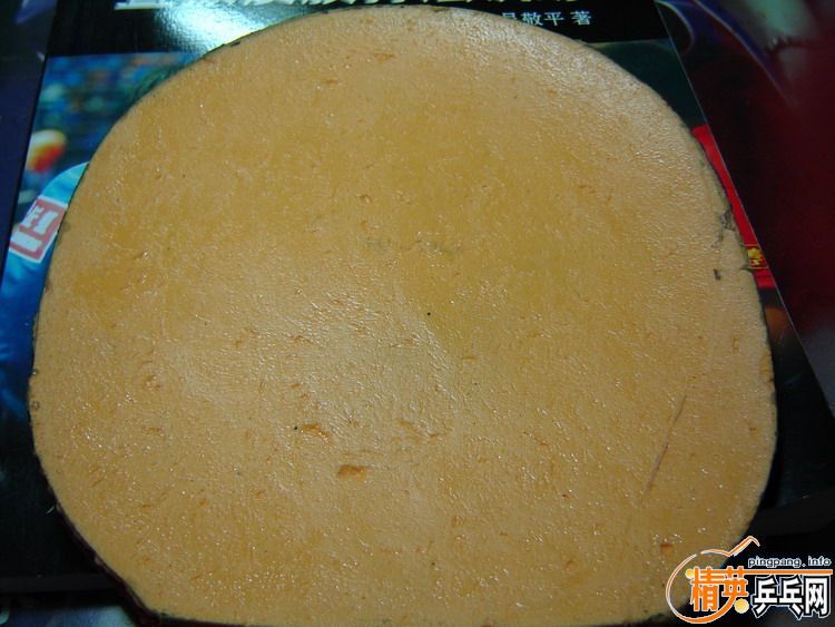 [�Ƽ�]�������ʡ��39�Ⱥ�SRVIER FX MAX