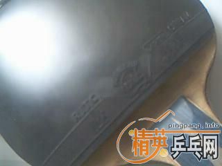 ����ISHLION������̼��