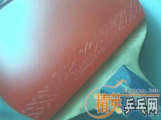 ����ISHLION������̼��