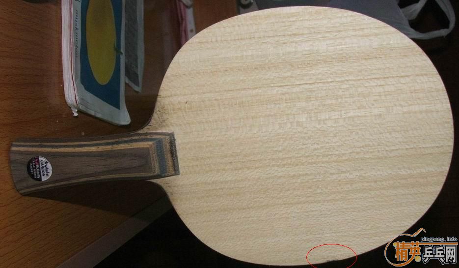 95�º�����FL�����