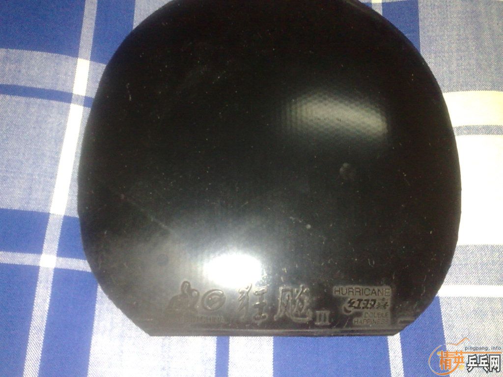 ���׽��������������ը������������EL