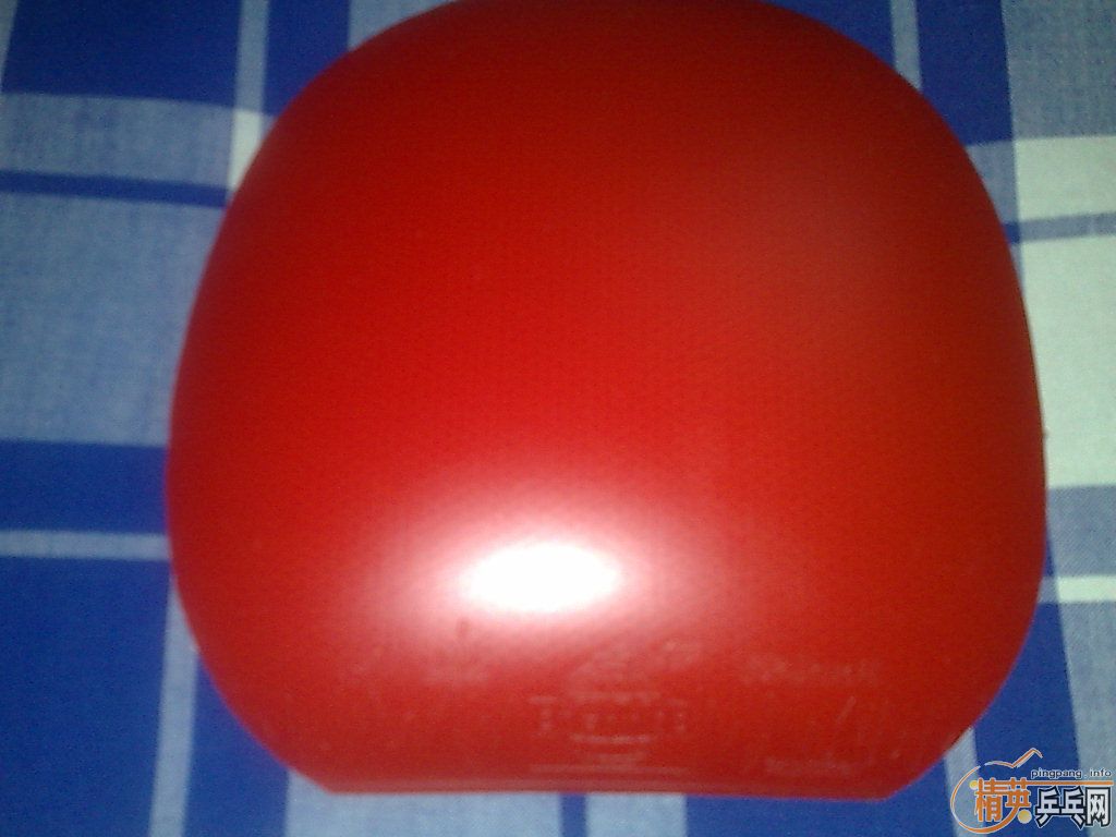 ���׽��������������ը������������EL