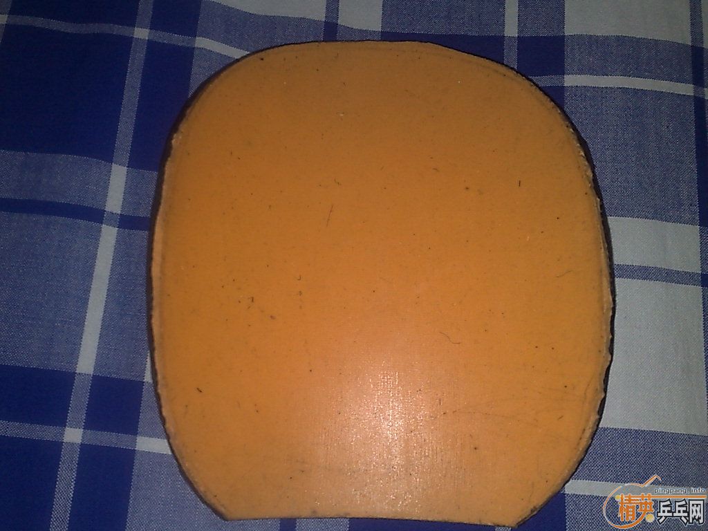 ���׽��������������ը������������EL