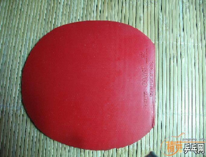 ���������������׽�