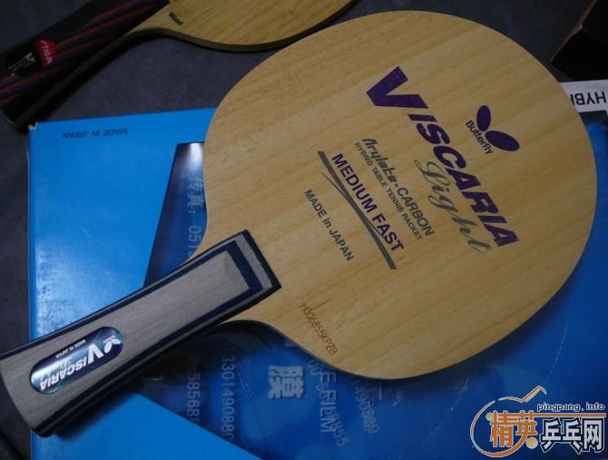 �����ѳ�VISL��5������ �˺� ����3��