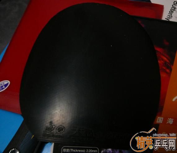 �����ѳ�VISL��5������ �˺� ����3��