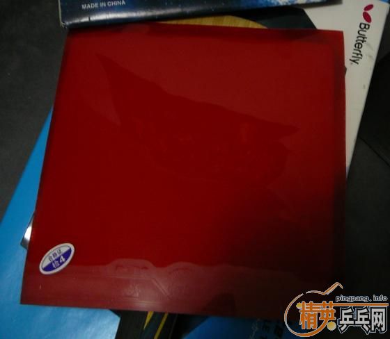 �����ѳ�VISL��5������ �˺� ����3��