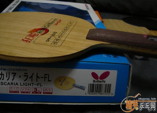 �����ѳ�VISL��5������ �˺� ����3��