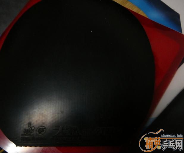 �����ѳ�VISL��5������ �˺� ����3��