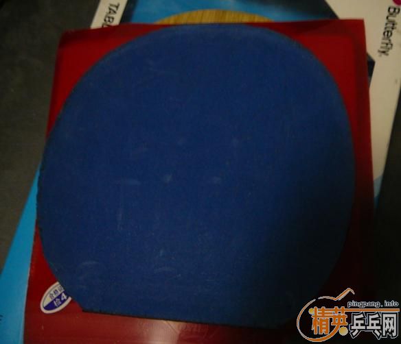 �����ѳ�VISL��5������ �˺� ����3��