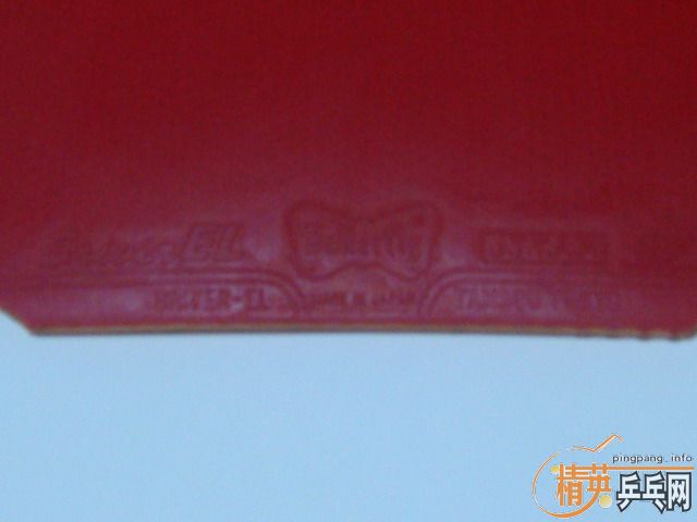 ��һ��9.8�º�ɫ˹����EL�������棩110�飡