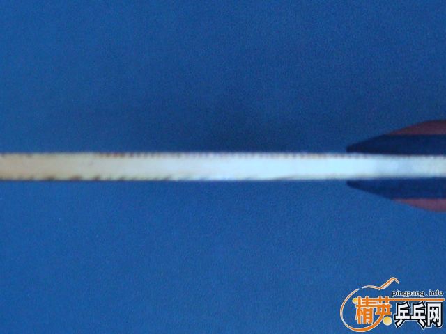 ��һ��FLŷ�洿OC��ֻ��10���ӣ�220����ݣ�