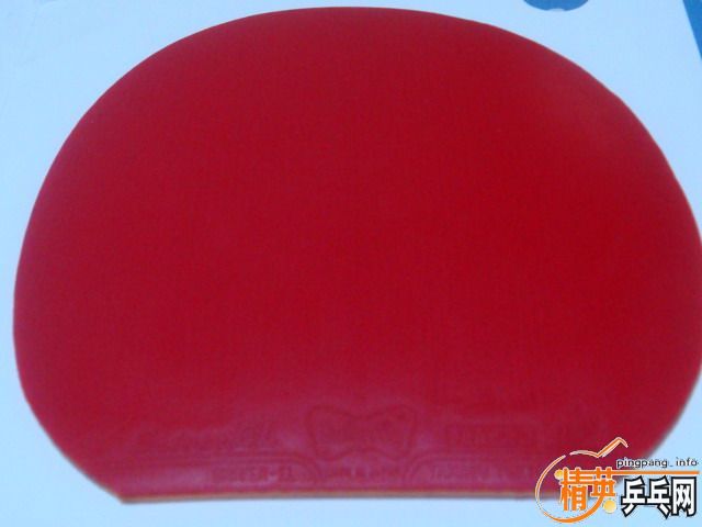 ��һ��9.8�º�ɫ˹����EL�������棩110�飡