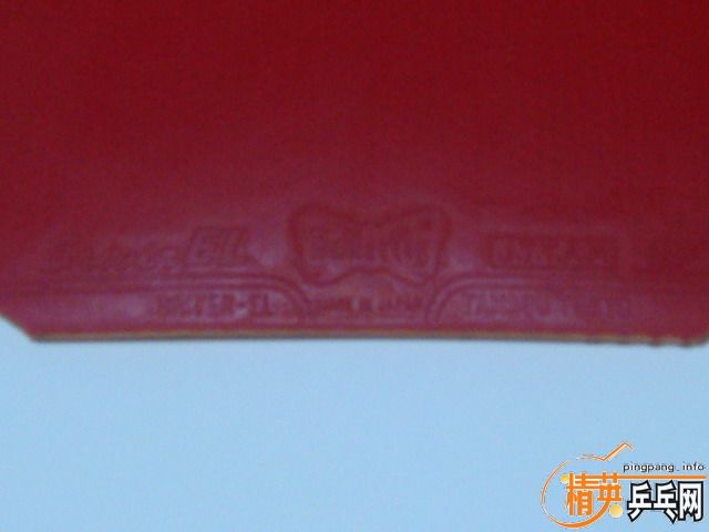 ��һ��9.8�º�ɫ˹����EL�������棩110�飡