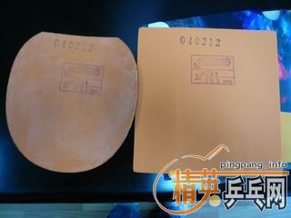 ������REALֱ����VISCARIA-FL��KORBEL-FL����