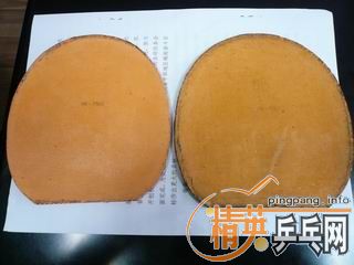 ������REALֱ����VISCARIA-FL��KORBEL-FL����