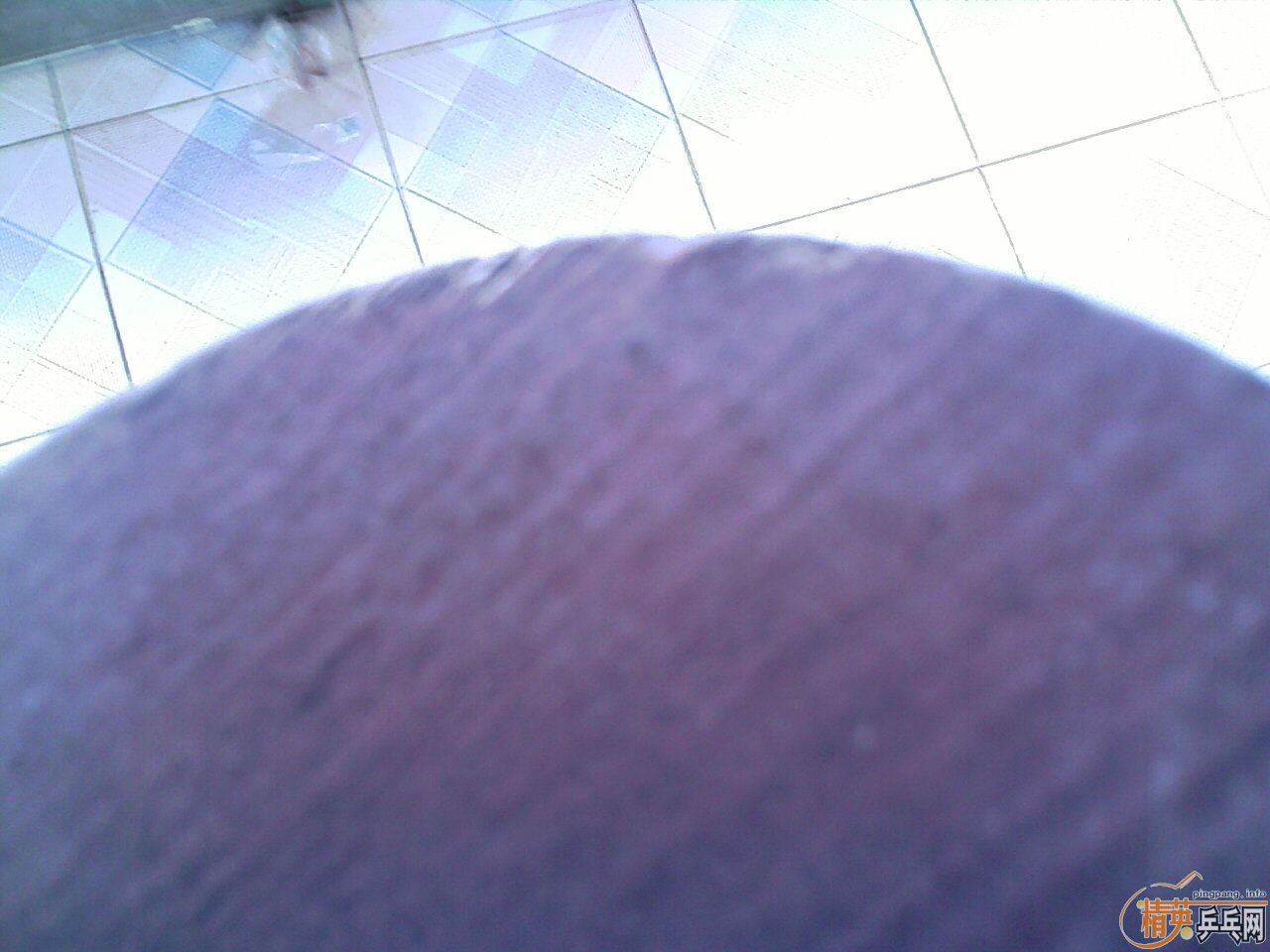 �����������3�׽�