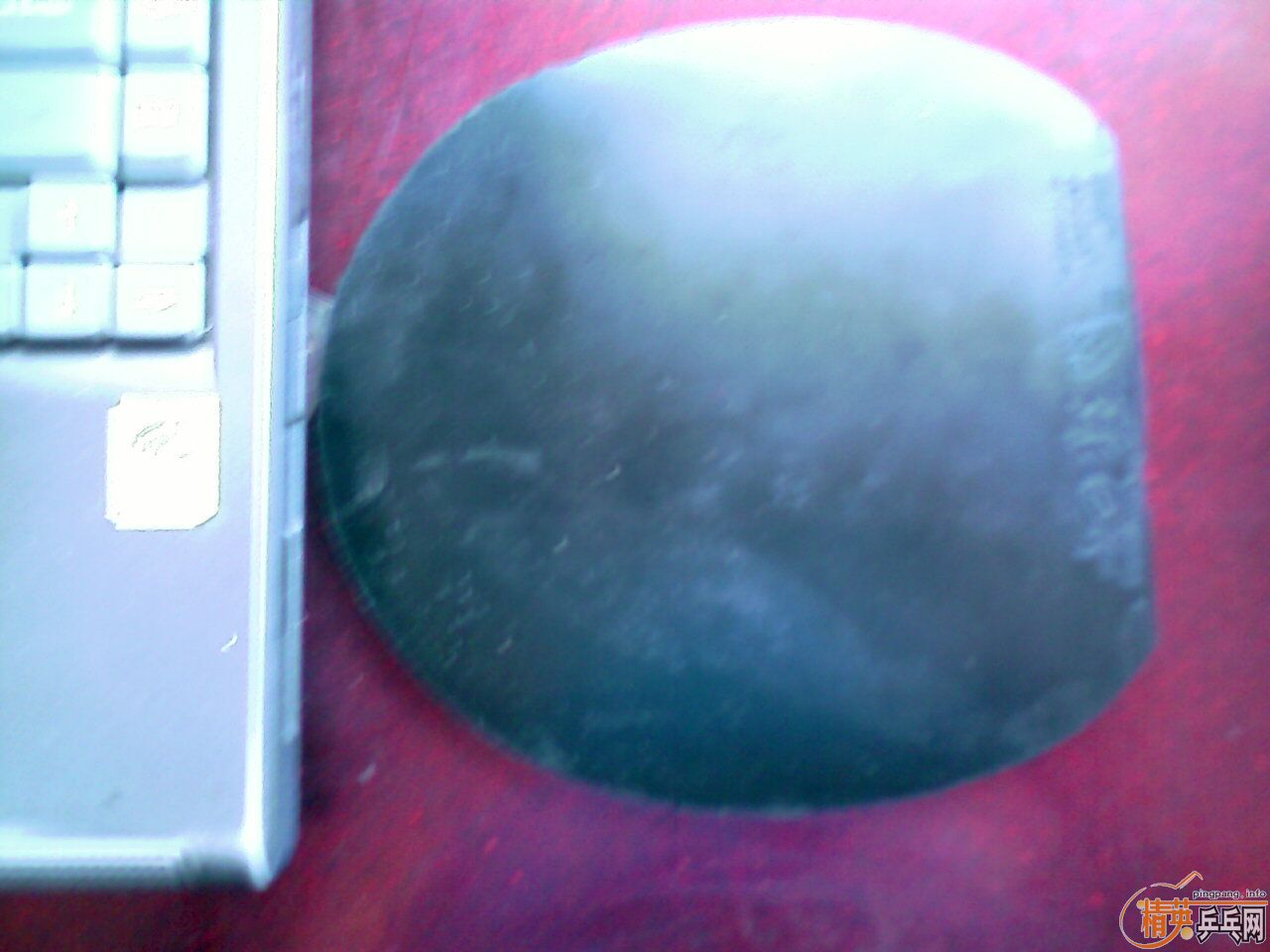 �����������3�׽�