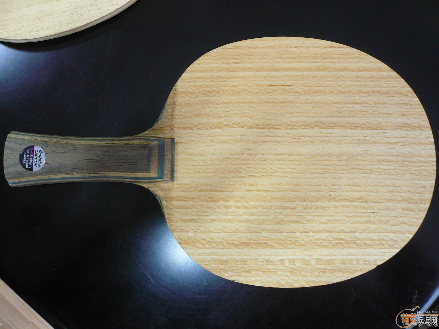 ������REALֱ����VISCARIA-FL��KORBEL-FL����