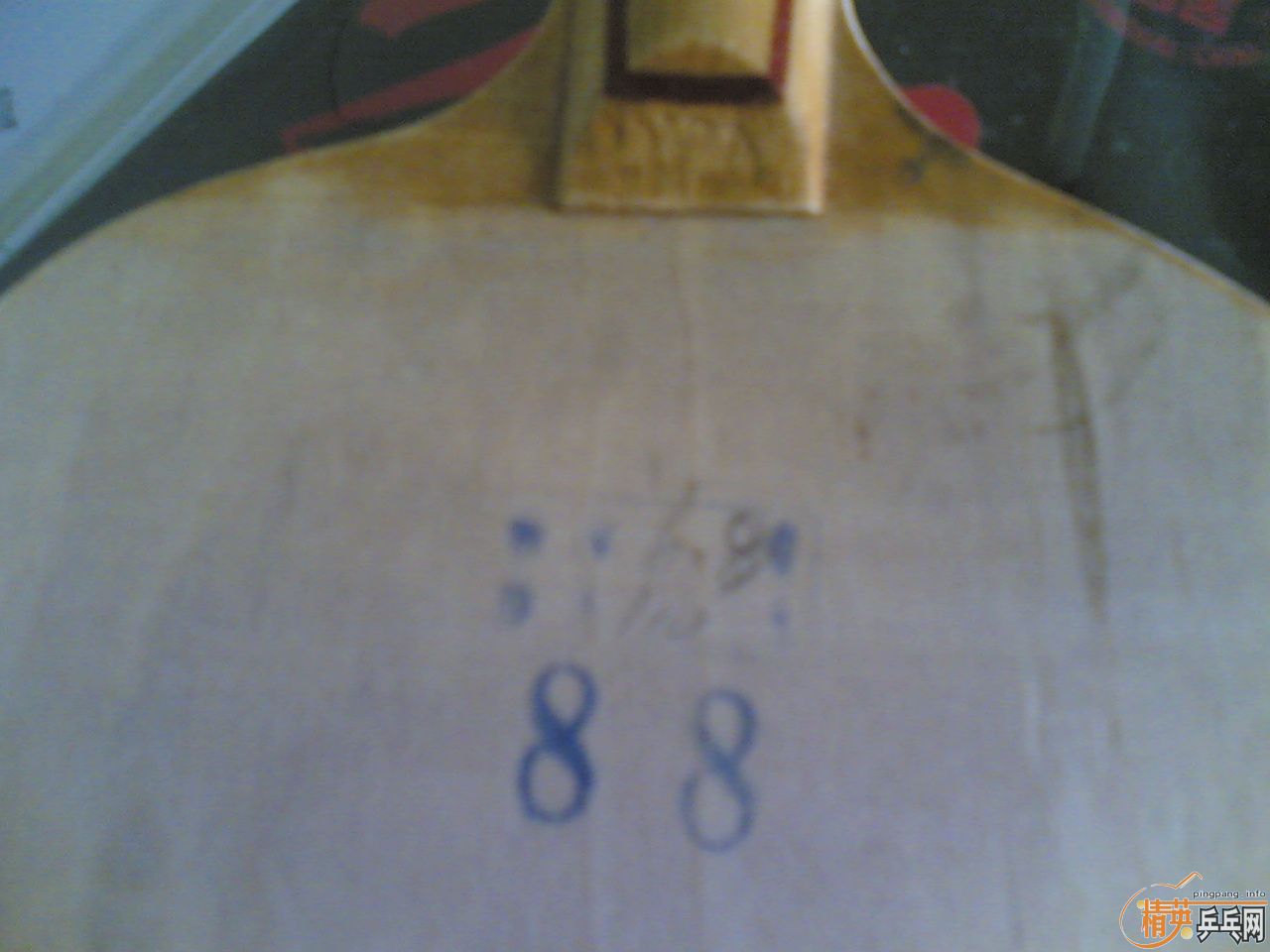 ��DHS��潻�������