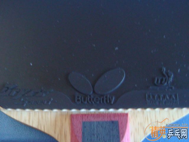 �������ɫ���µĴ���׽���1��1�죩��