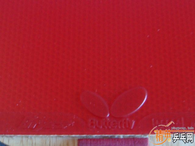 �������ɫ���µĴ���׽���1��1�죩��