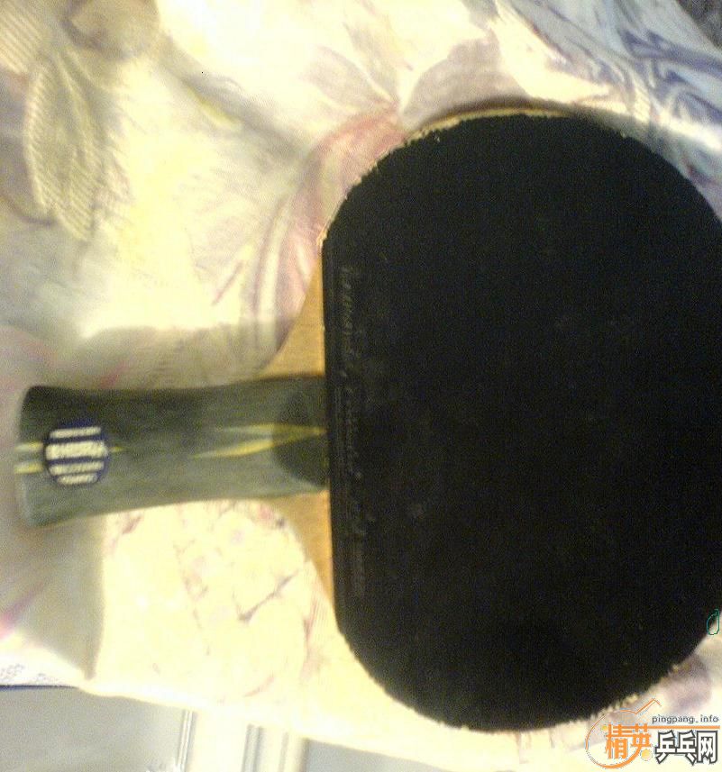 �ͼ۳����հ�84�˺�YE������