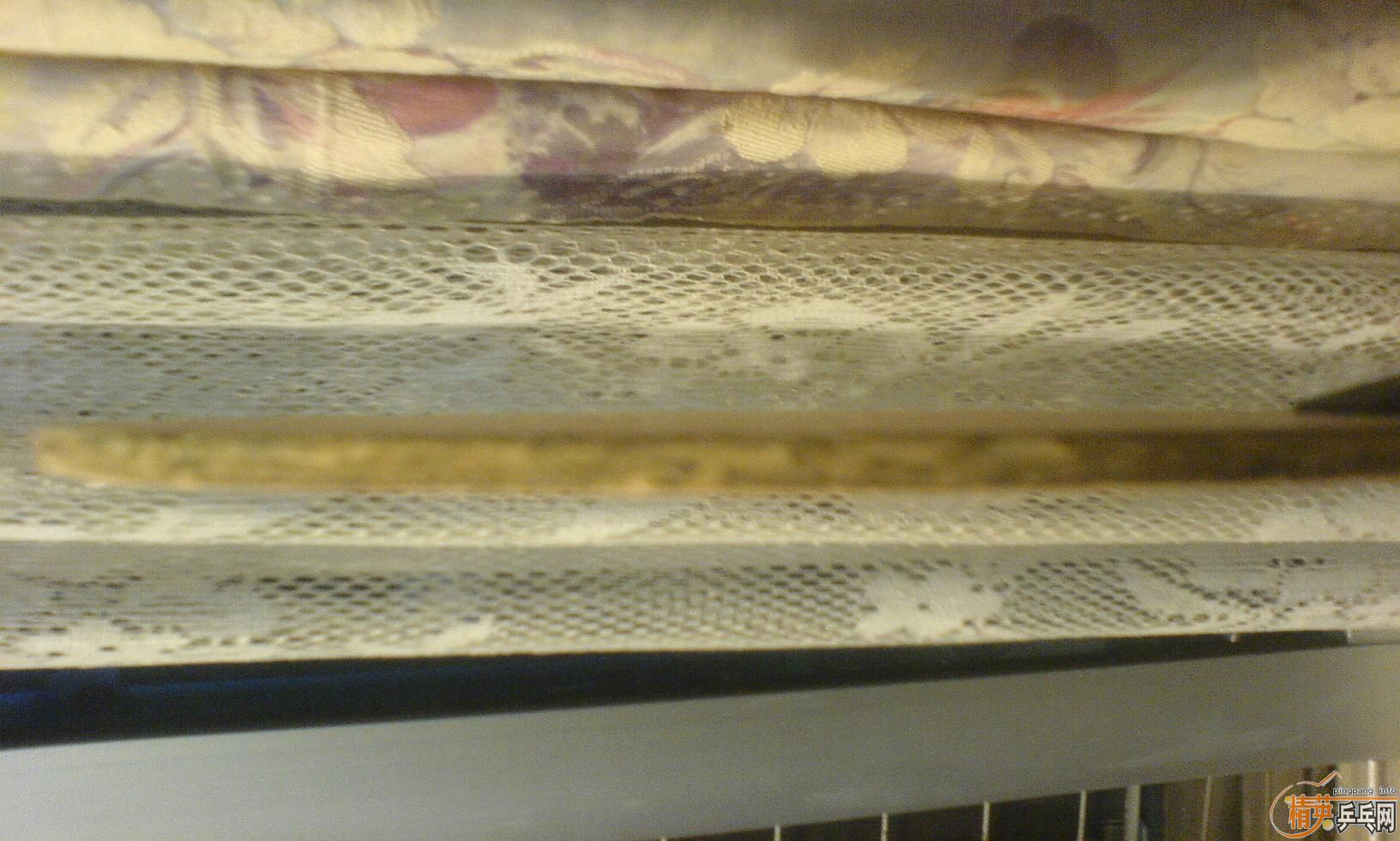 YE���������׽�����