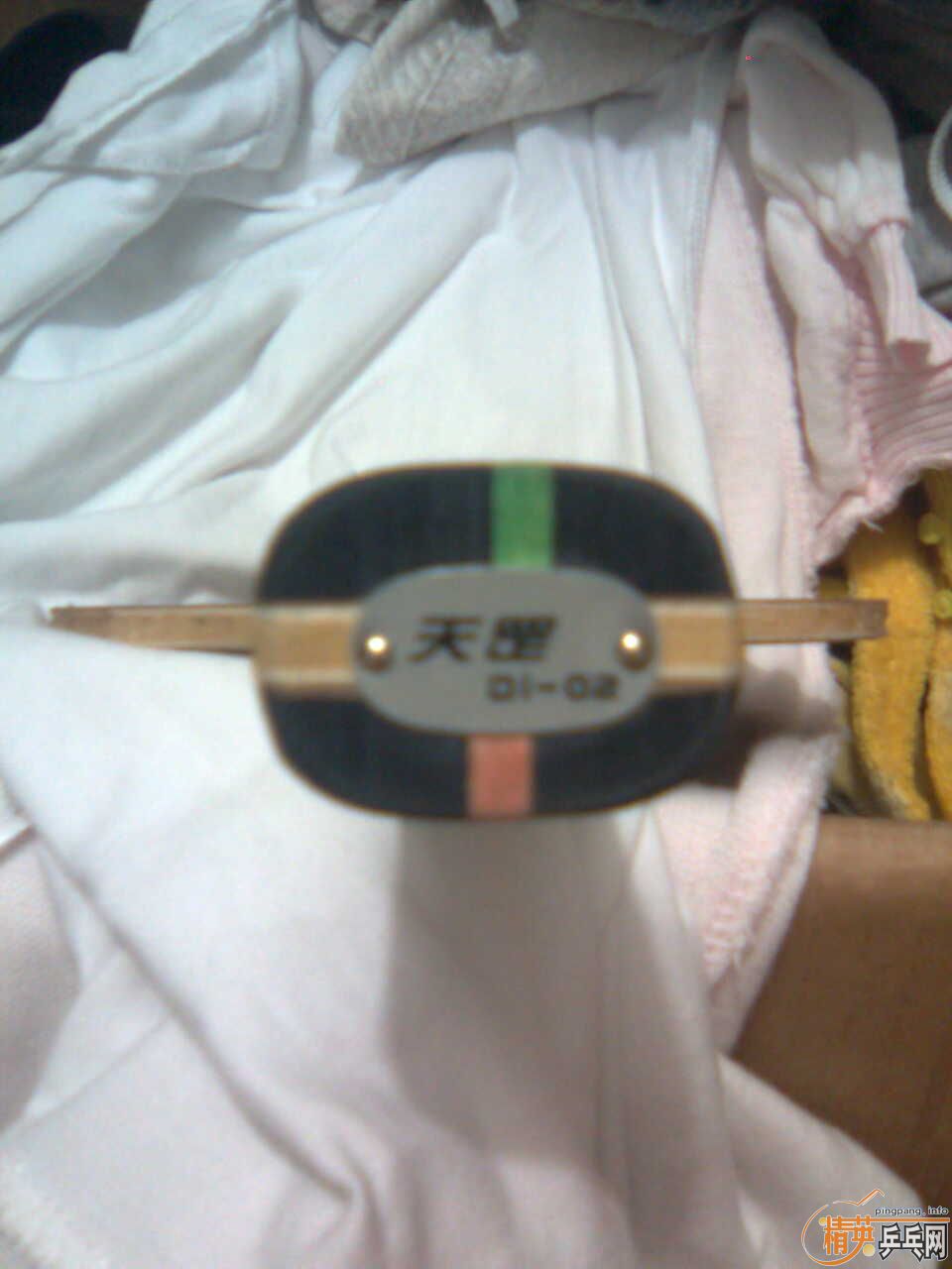 ��TO�ͺ�˫ϲDI-02,��FL��֧����