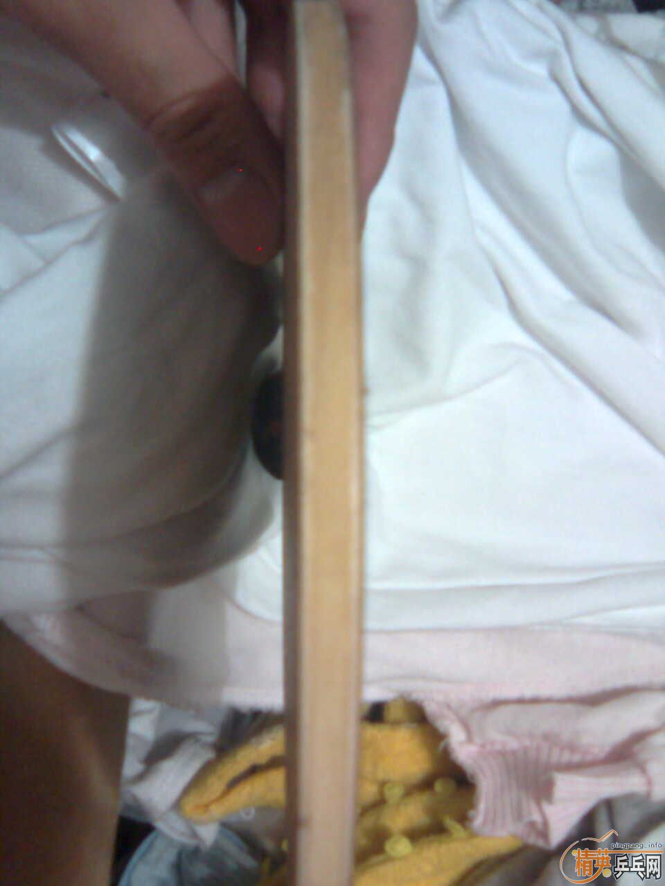 ��TO�ͺ�˫ϲDI-02,��FL��֧����