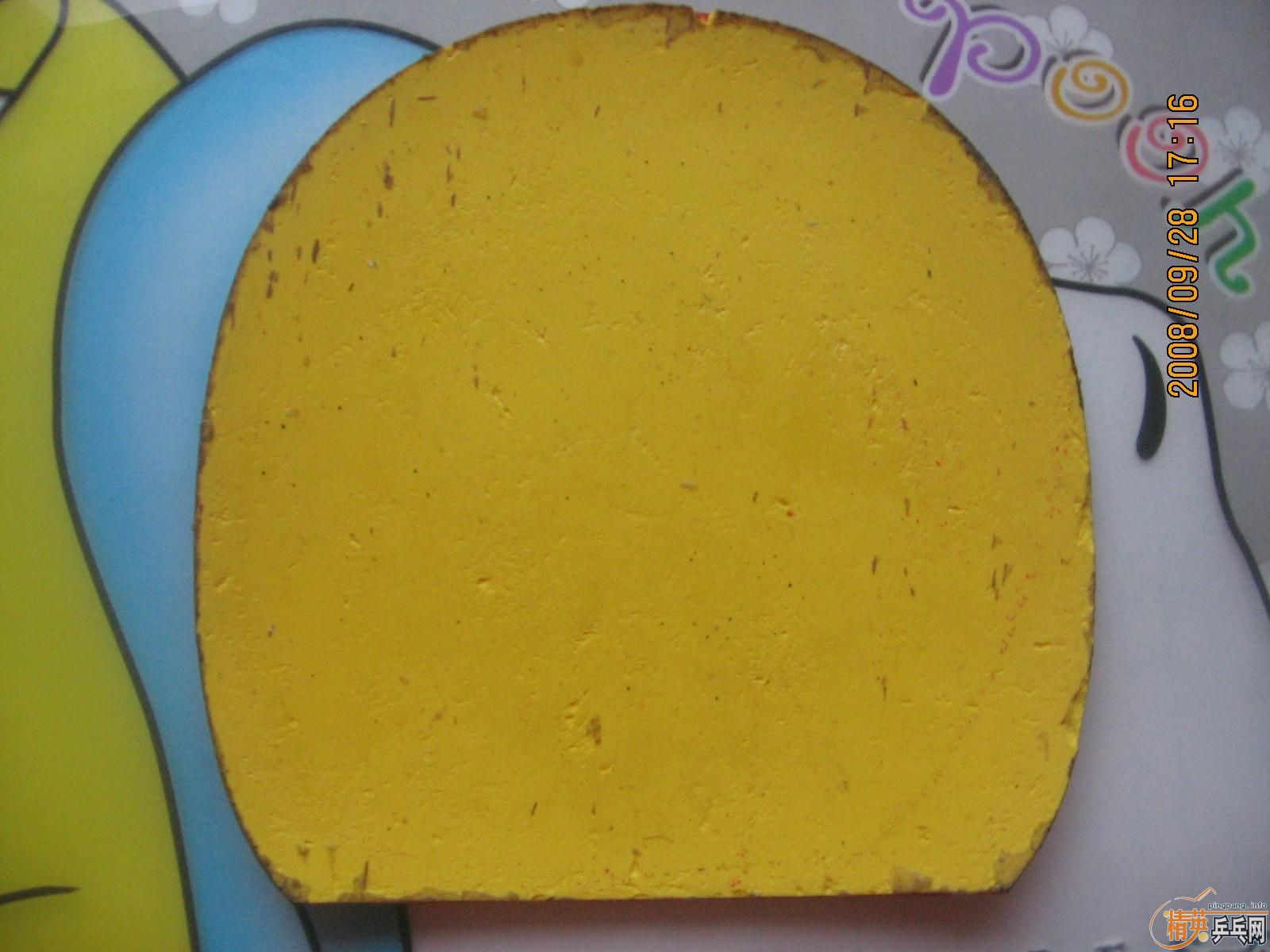 ˳һЩͶ׽8021193