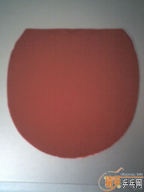 ����21800����