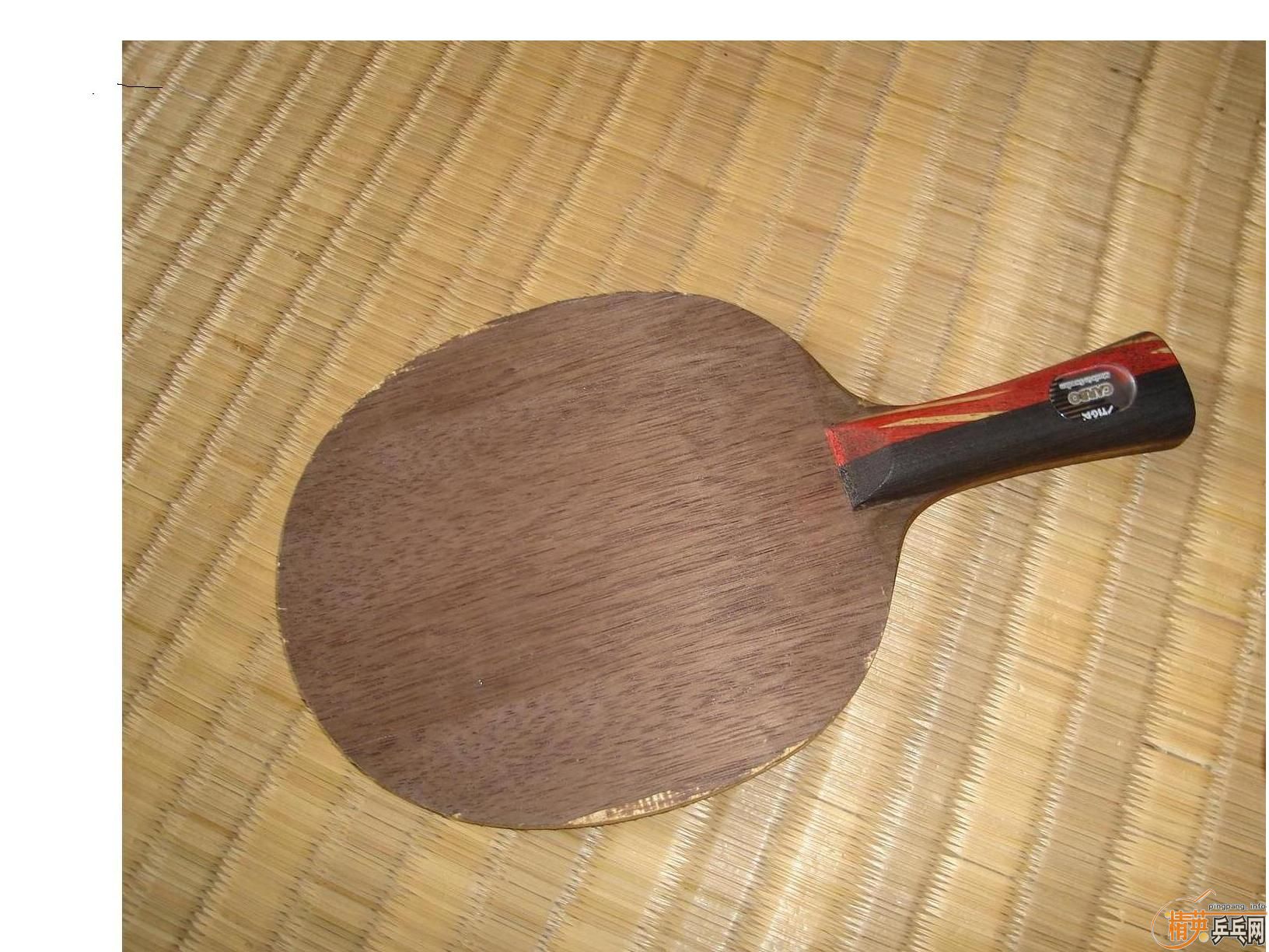 ��һ��̼�ع�����һֻ��������