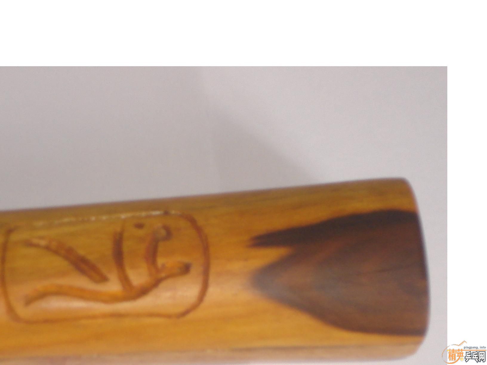 ��һ��̼�ع�����һֻ��������