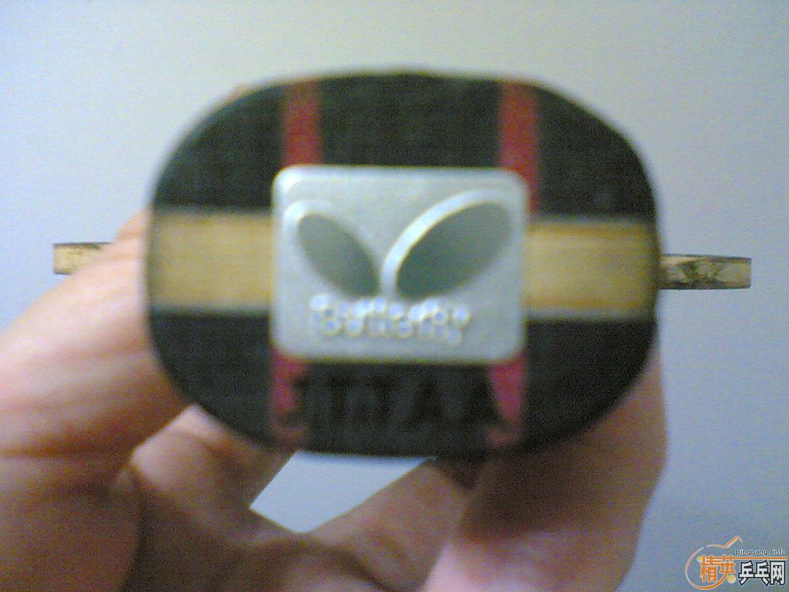 ��ֱ��������10��Ʒ�༫�ѣ�400�������5.4