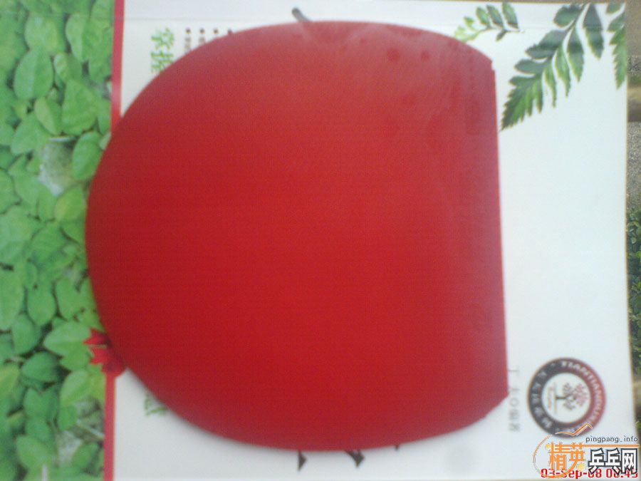 ˭�ж���F1Ҫ��������