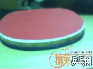 ��9.5����PALIO,TON�װ�,ֱ��.����729-2���ݺὺƤ