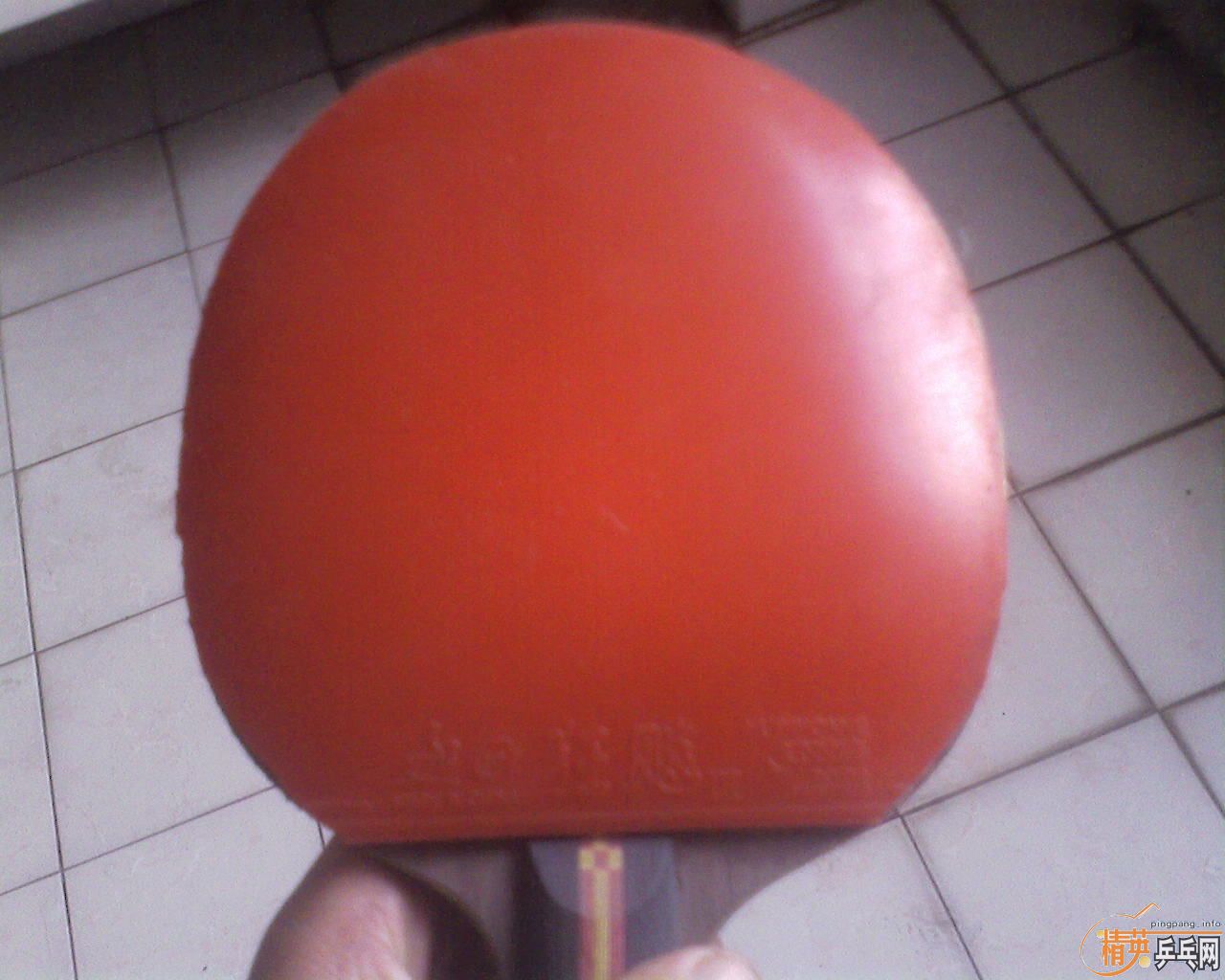 [ԭ��]�ų���anv wl fl��������41��ʡ�����