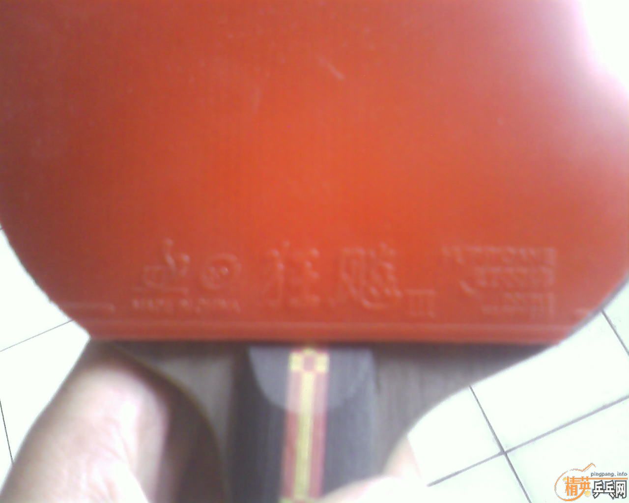 [ԭ��]�ų���anv wl fl��������41��ʡ�����