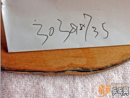 ����ʩ̼FL�����ܻ���ʲô~~~