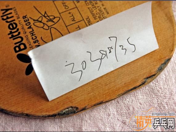 ����ʩ̼FL�����ܻ���ʲô~~~