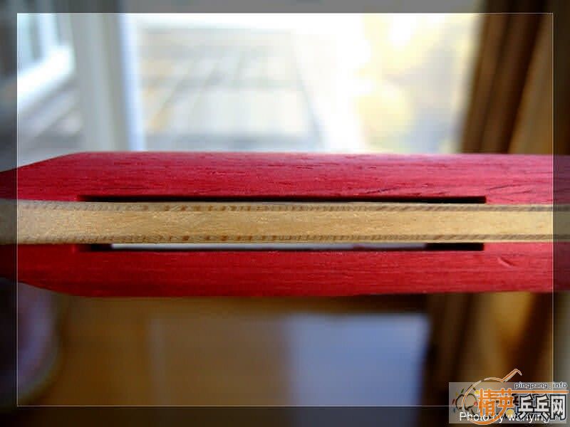 220��˳���ݳ���ľ