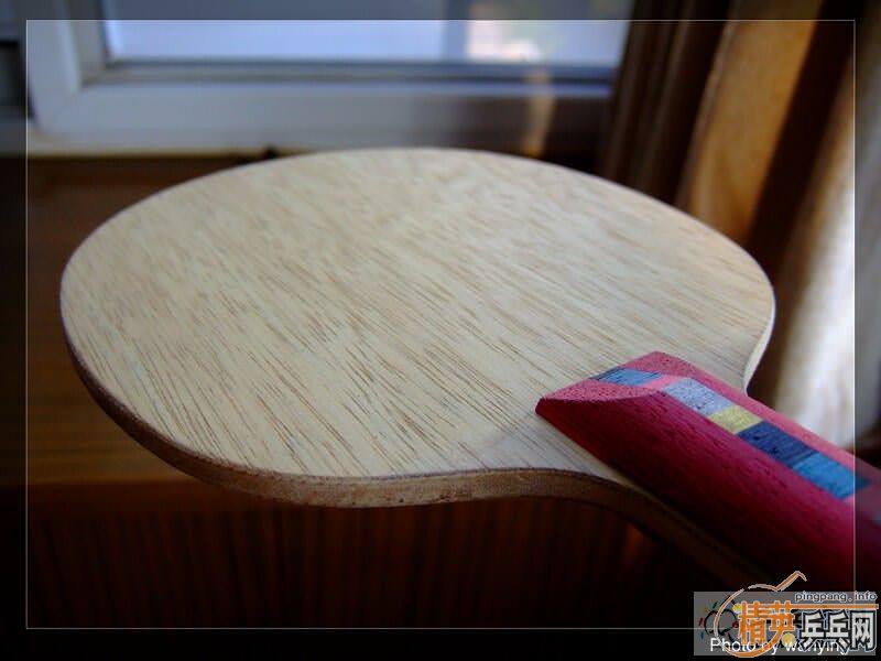 220��˳���ݳ���ľ