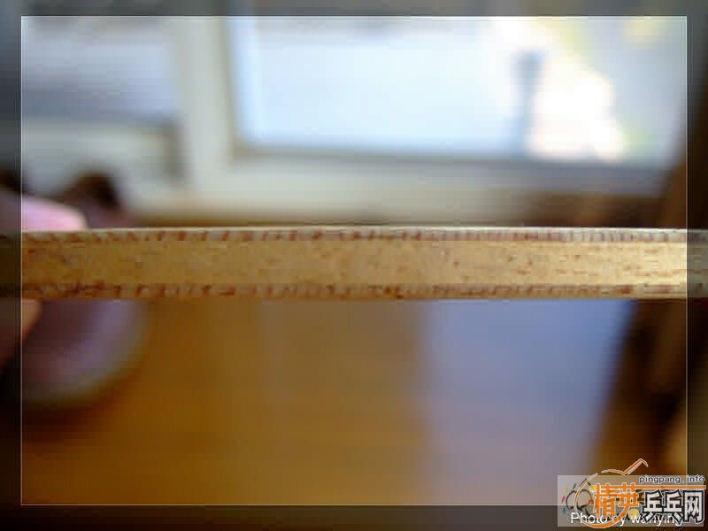 220��˳���ݳ���ľ