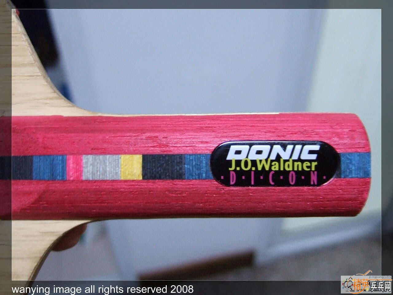 220��˳���ݳ���ľ