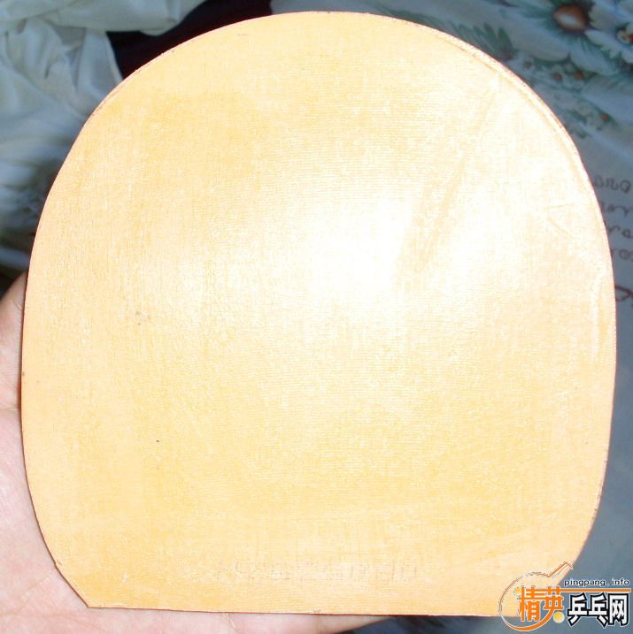 ��������������������Ƥ��