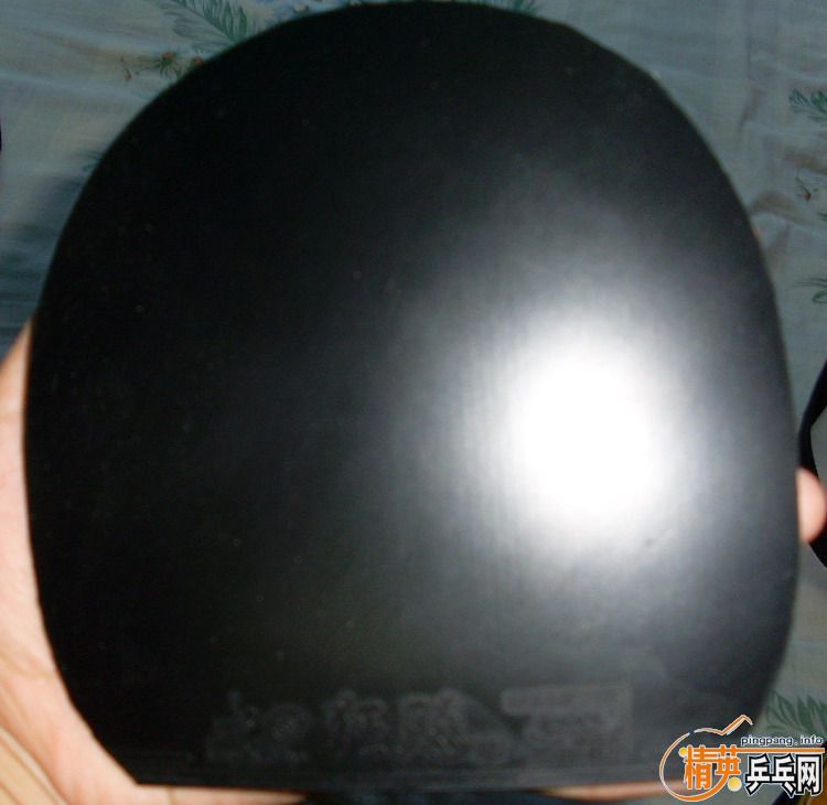 ��������������������Ƥ��