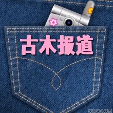 ����ÿ�ձ�������