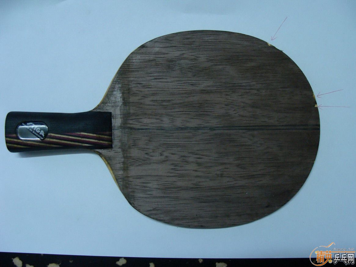 �ٳ���sitga�װ�.�ֵ����ٰ�æ��...